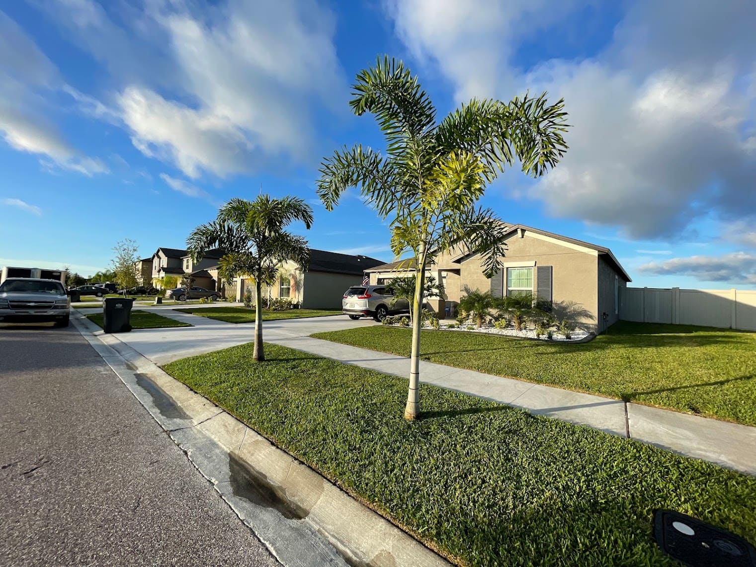 Professionally maintained lawn and subtropical landscaping