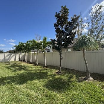 Tree Service service