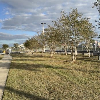Commercial lawn maintenance project view