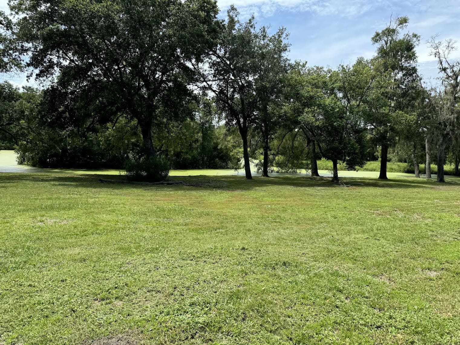 Residential Landscaping service