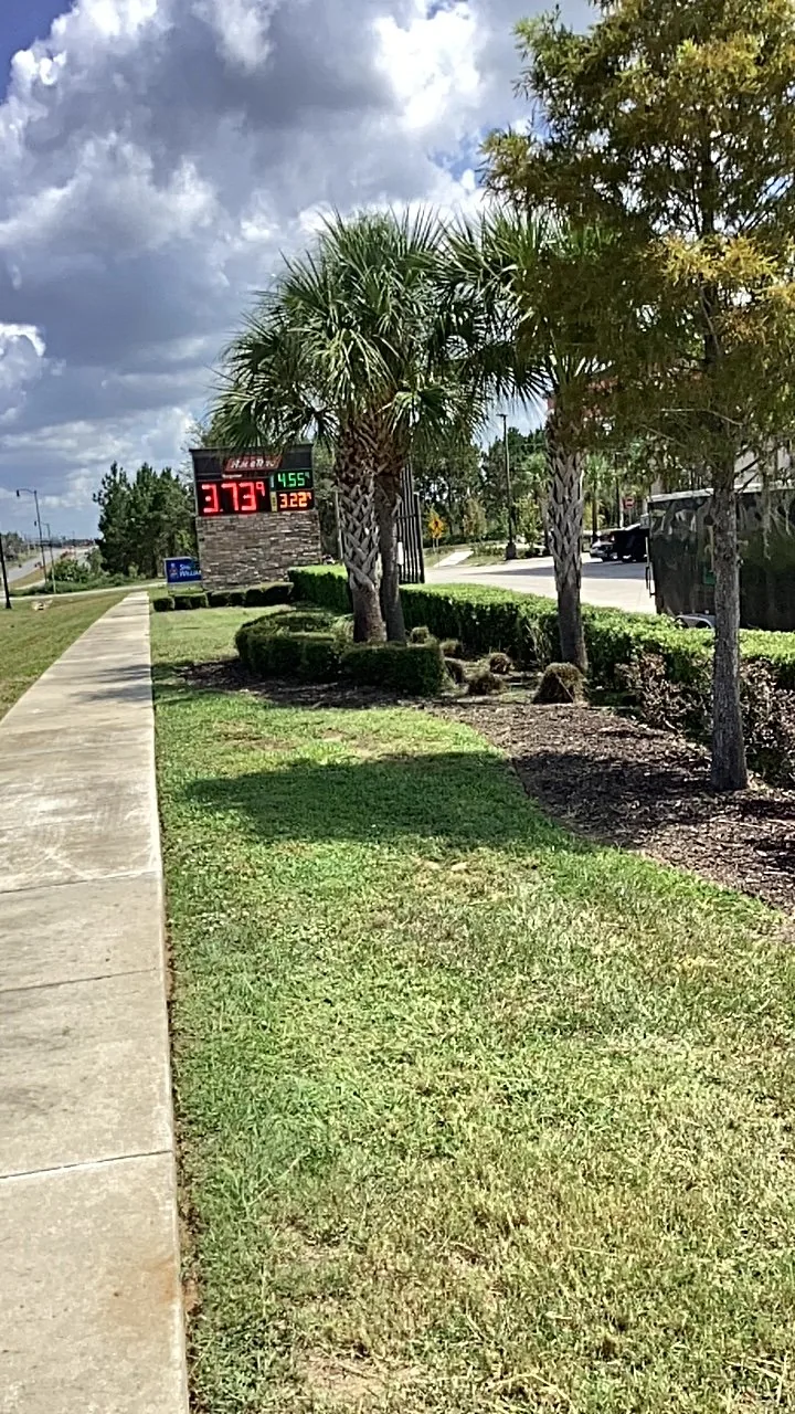 Maintained lawn and sculpted hedges along a commercial sidewalk
