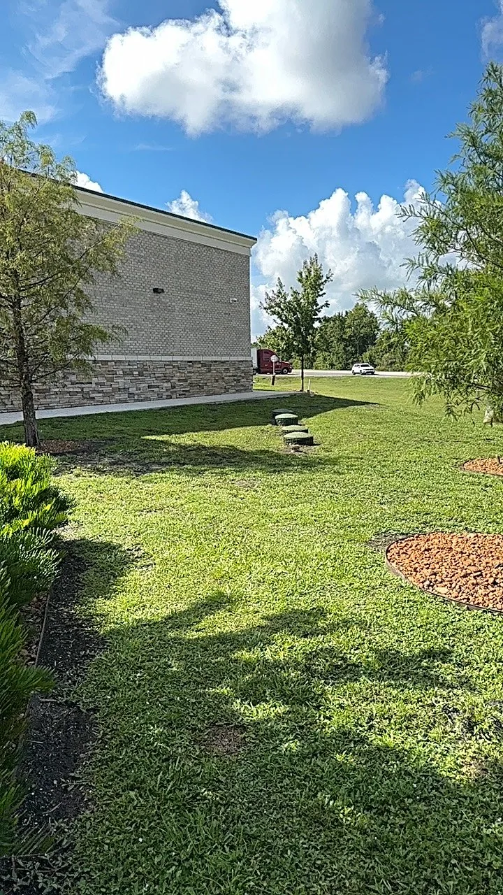 Commercial side lawn bordered by palms and landscape beds
