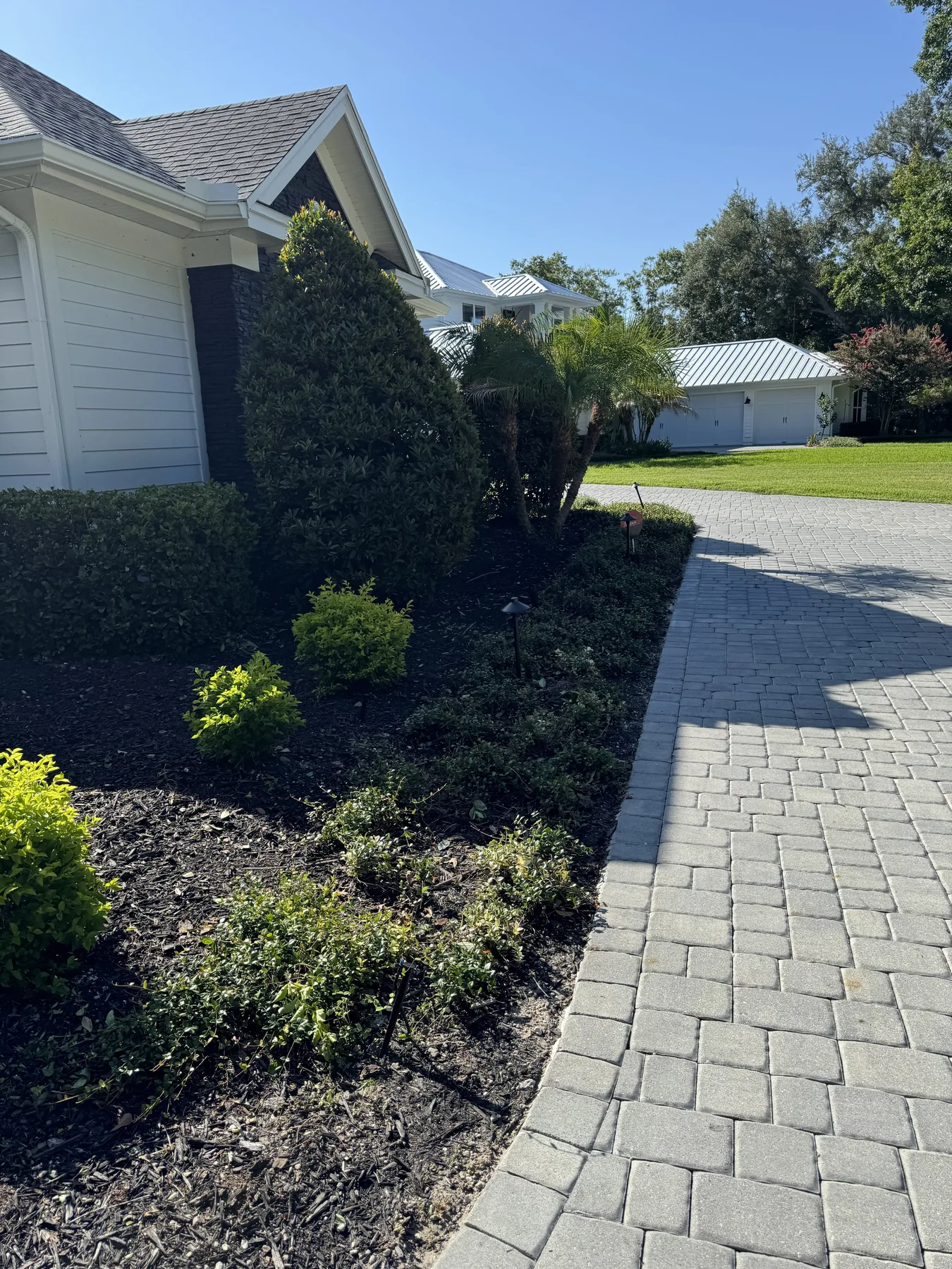 Maintained planting bed alongside a residential paver driveway
