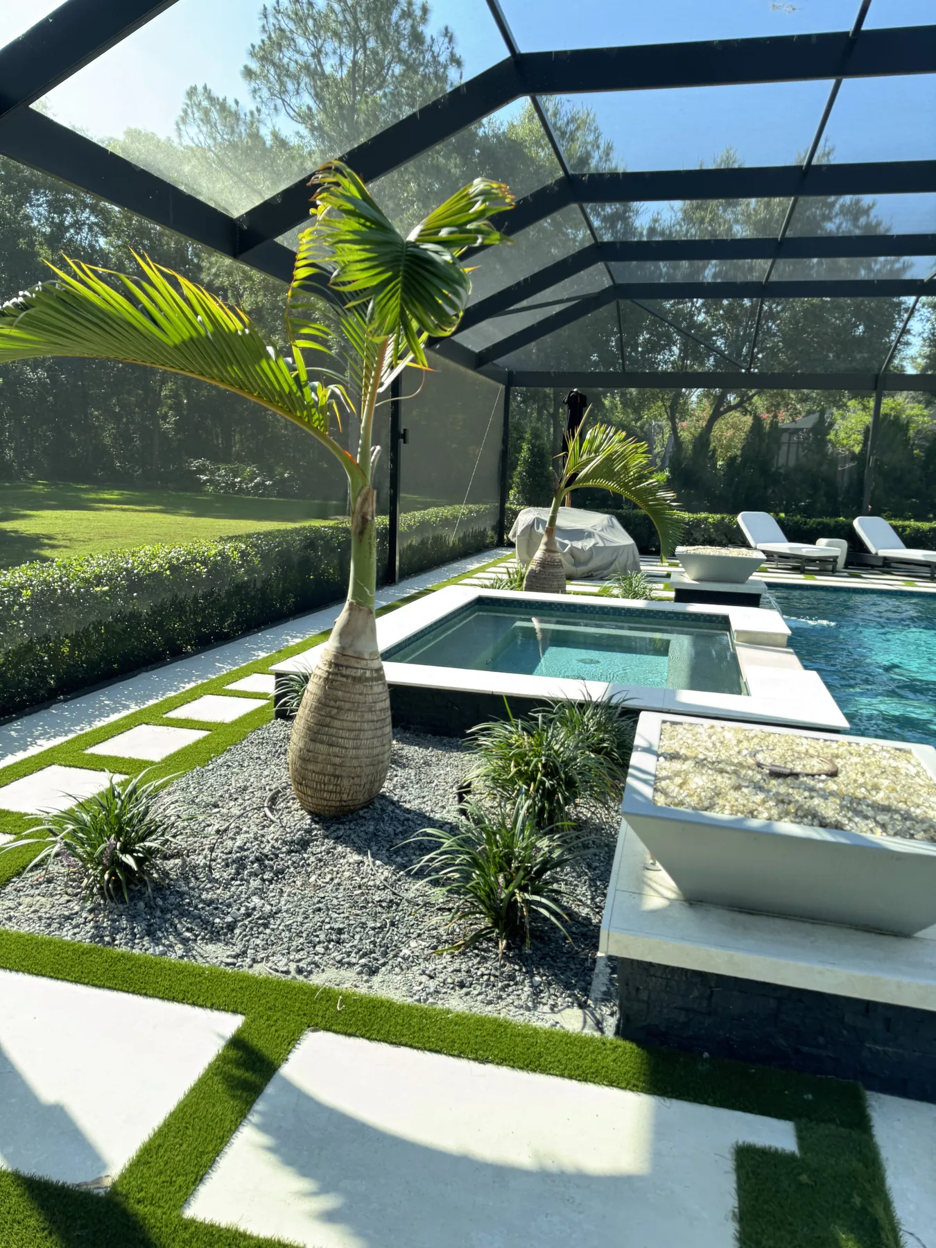 Landscaped pool courtyard with a sculptural palm focal point