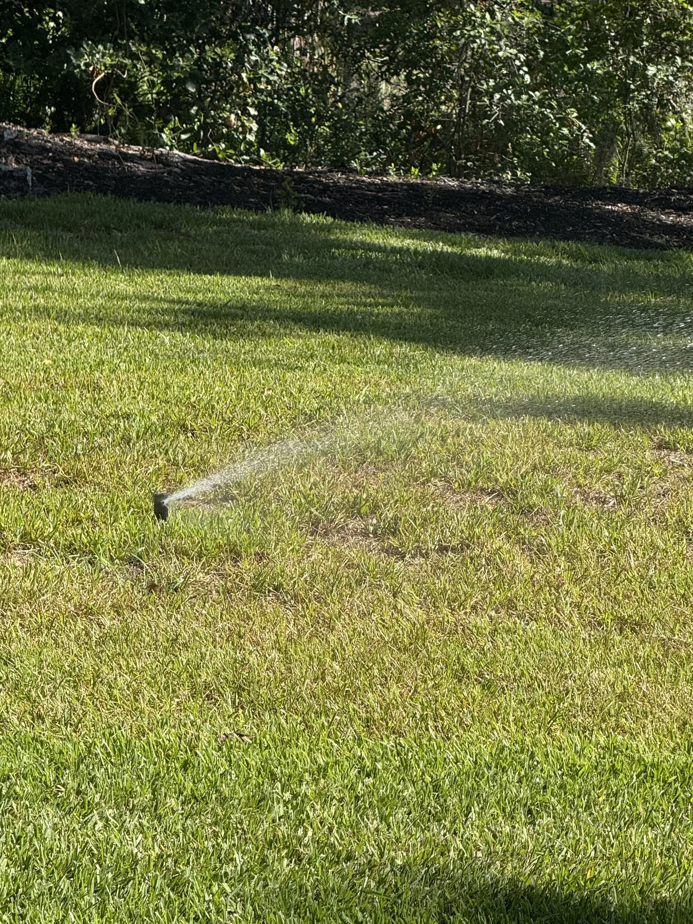 Irrigation sprinkler operating across a sunny lawn