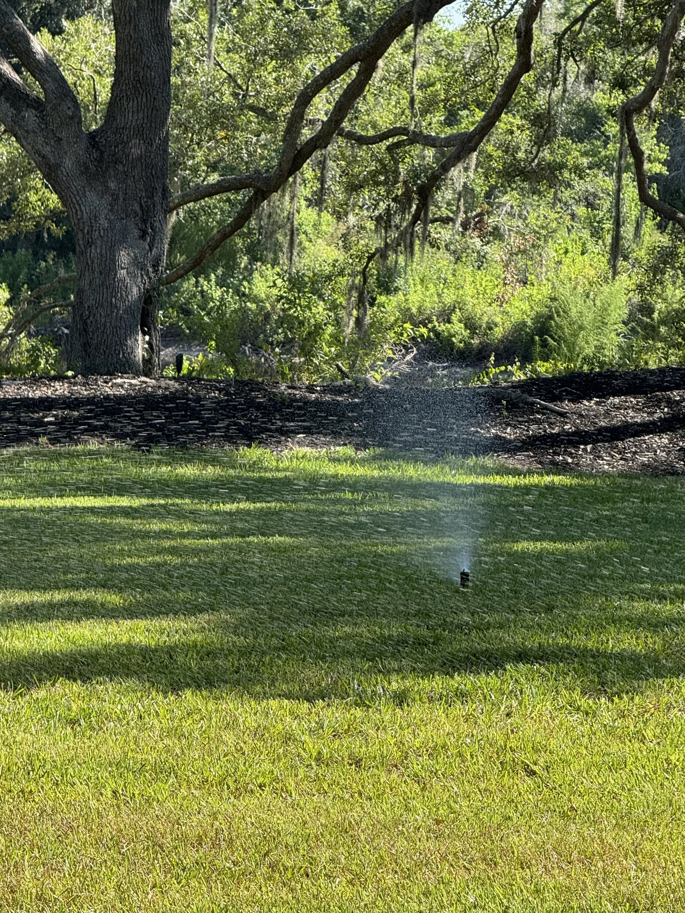 Multiple sprinklers watering a shaded lawn beneath mature trees