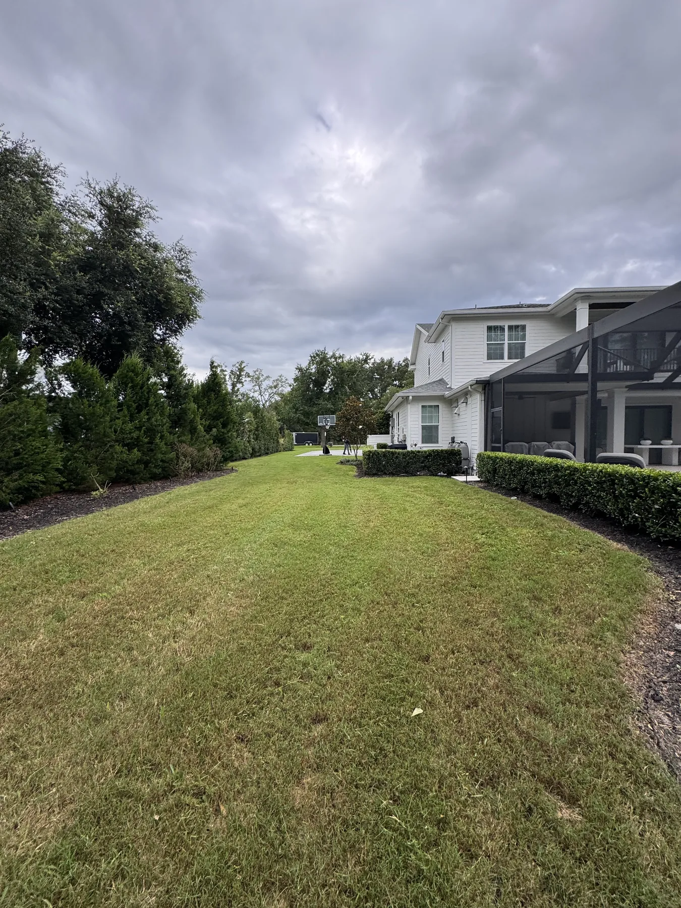 Broad residential side lawn beside a screened outdoor area