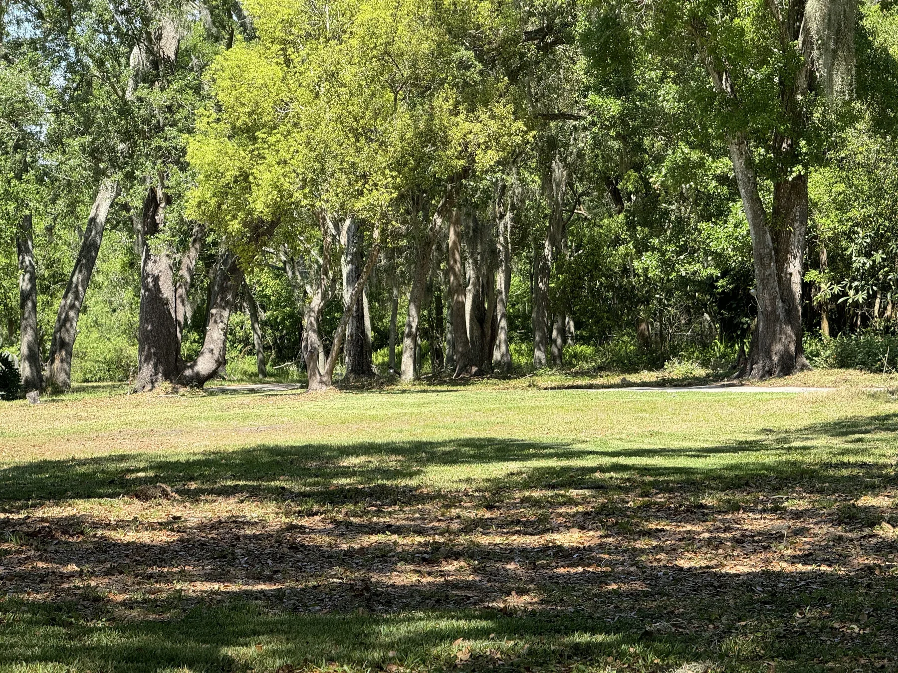 Open residential grounds bordered by mature Florida trees