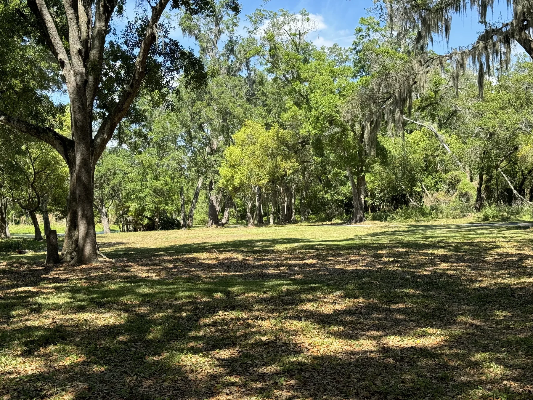 Sprawling oak-shaded lawn across a large property