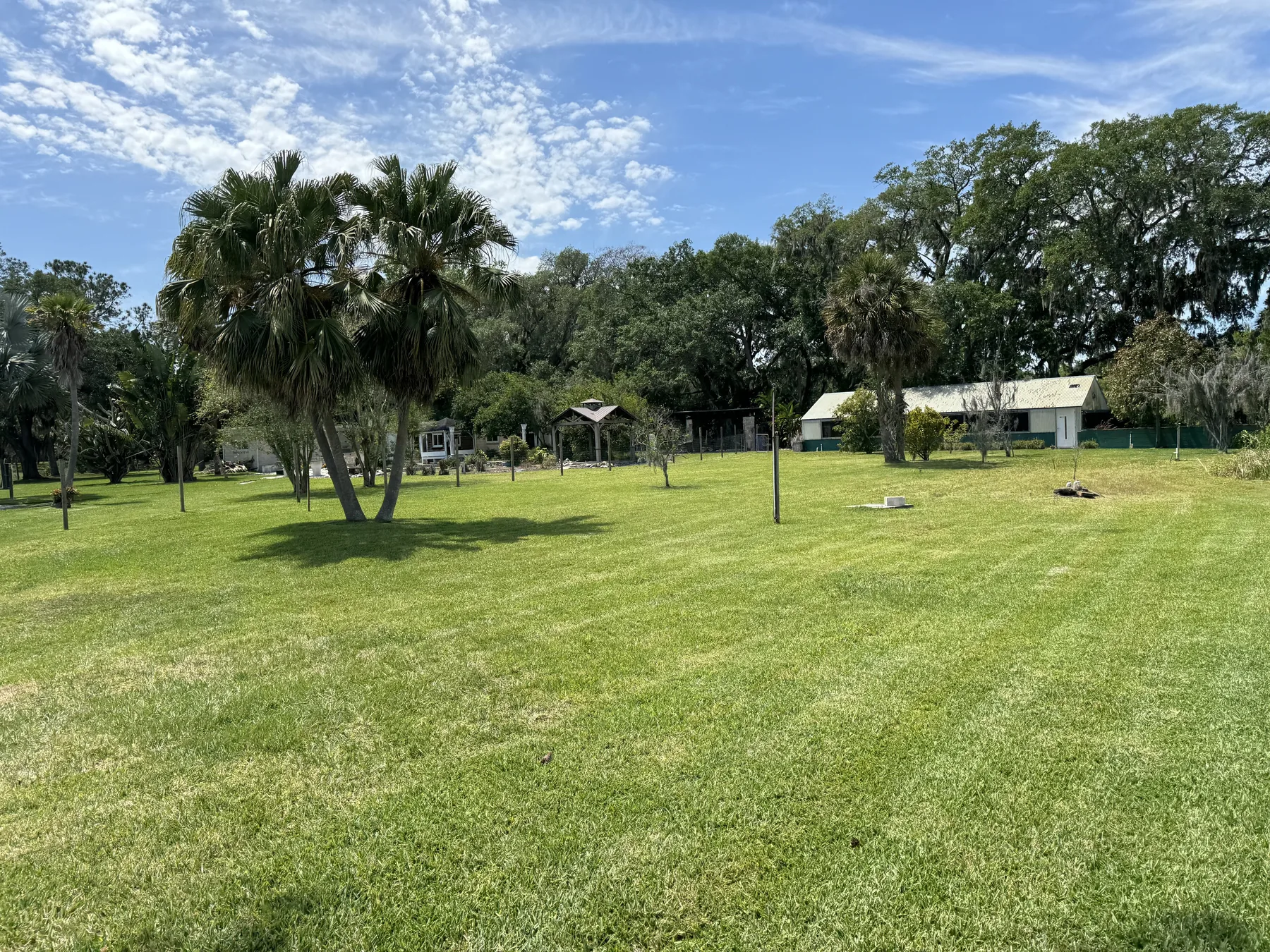 Expansive lawn dotted with mature palms and shade trees