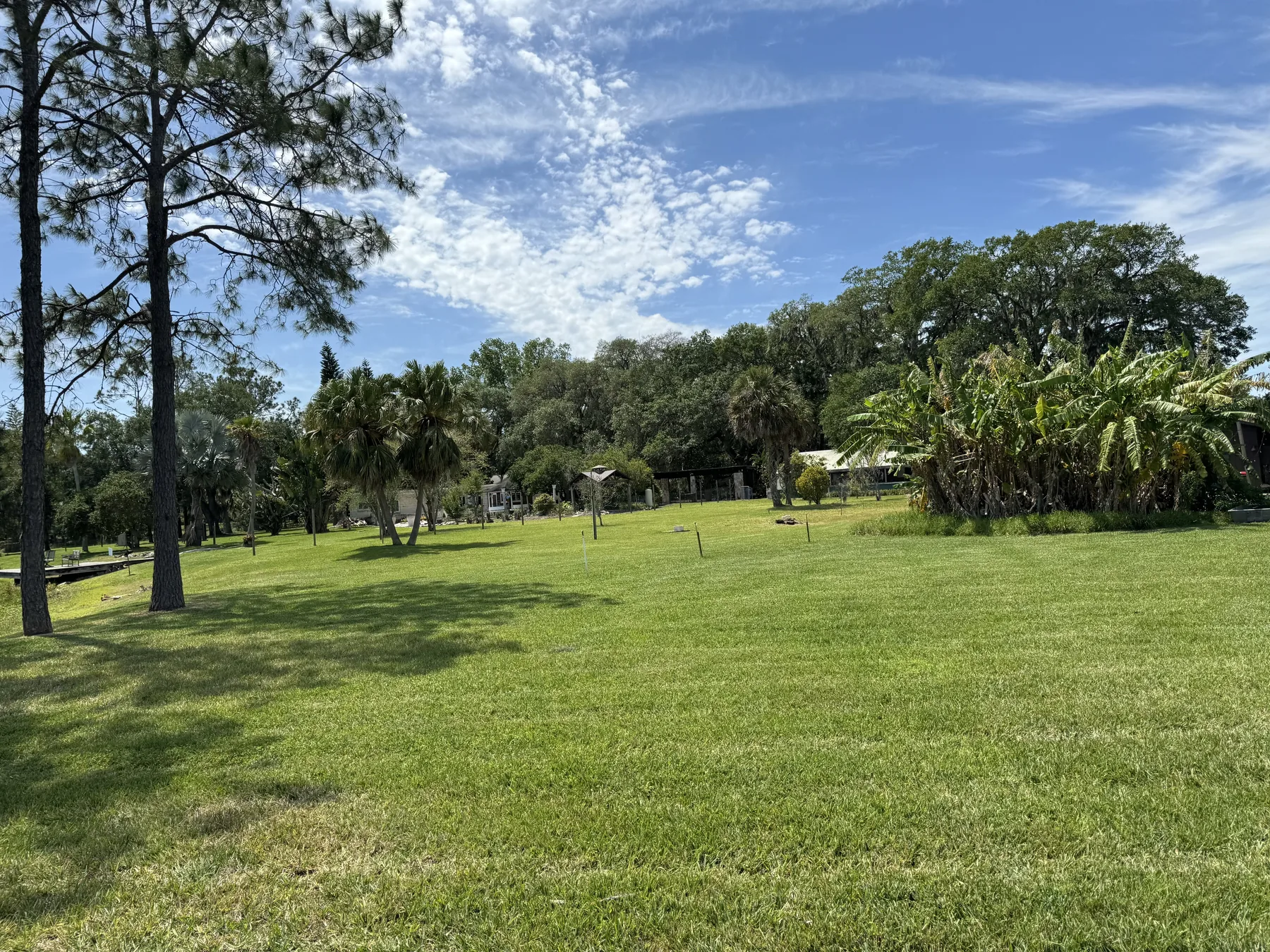 Large open lawn framed by palms and mature trees