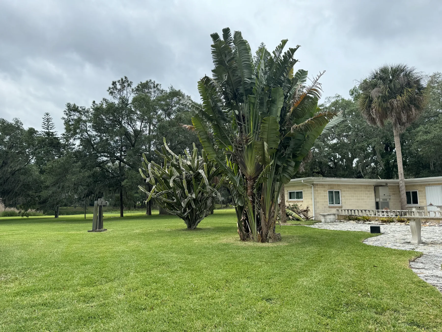 Mature tropical plantings set within a broad green lawn