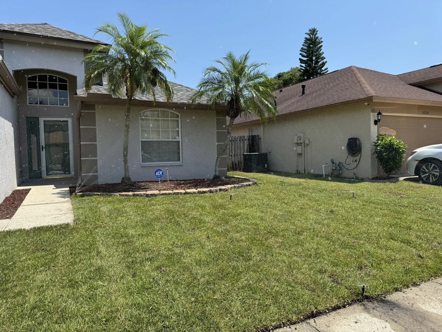 Newly sodded front lawn bordered by palm trees