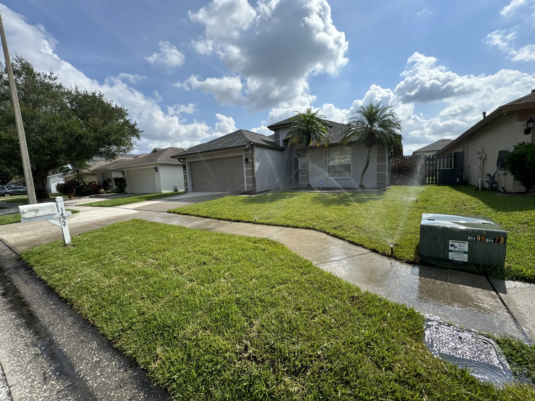 Newly established front lawn after watering