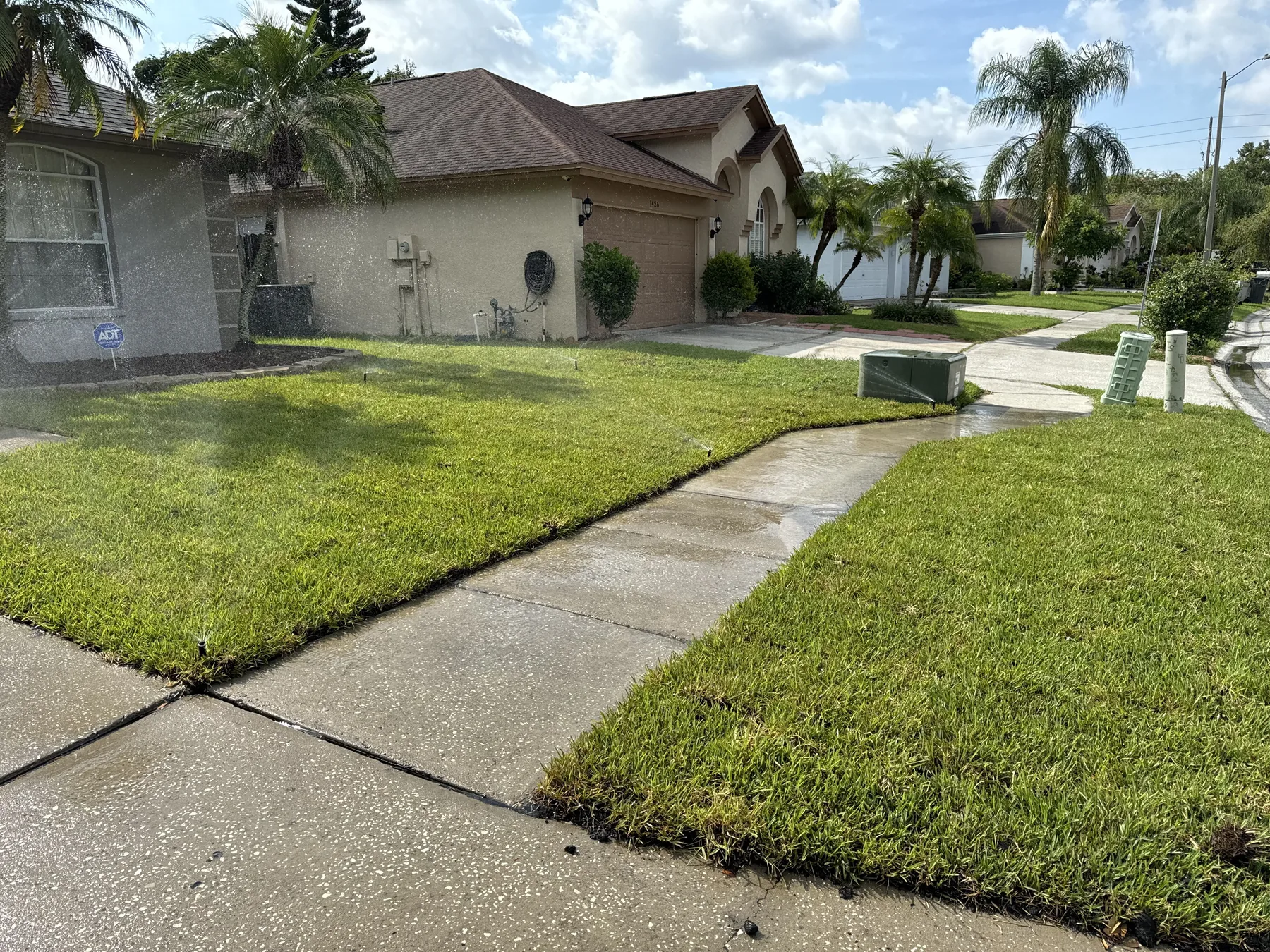 Fresh sod fitted cleanly along a residential walkway