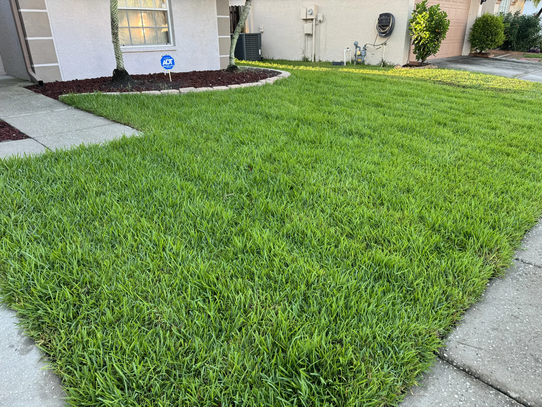 Sod Installation service