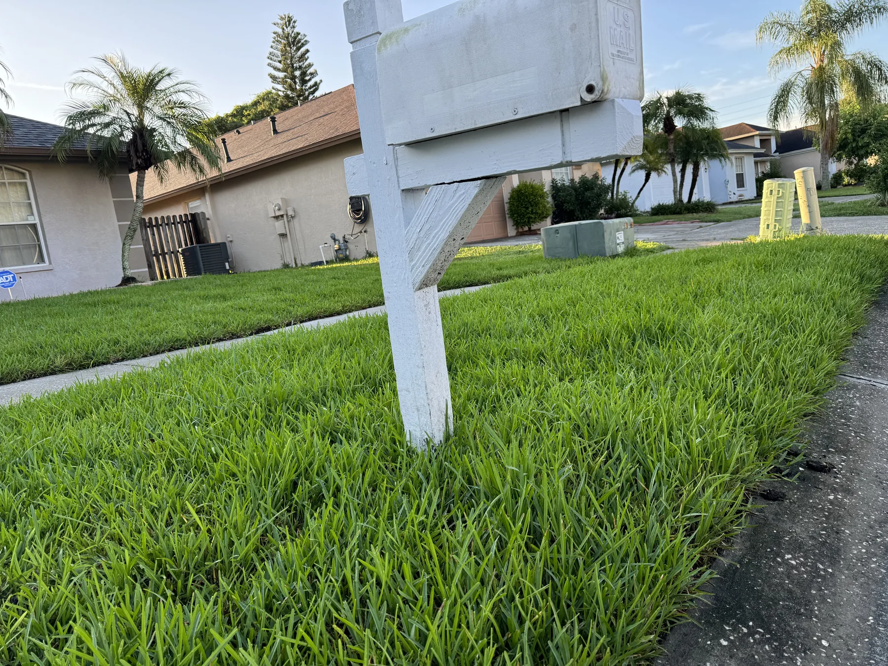 Freshly installed sod around a residential signpost