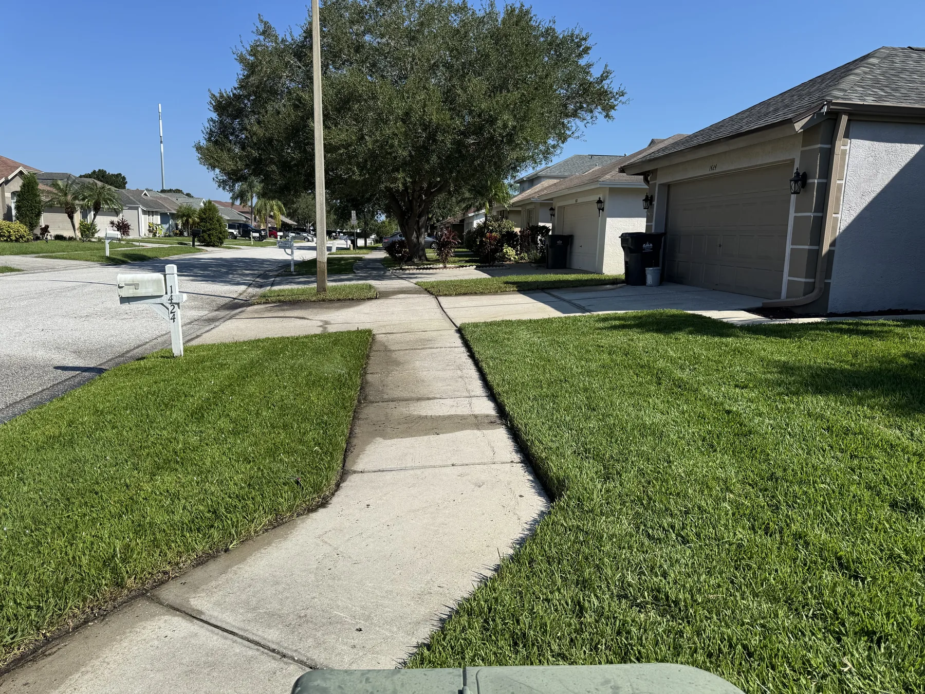 Newly sodded residential frontage with clean borders