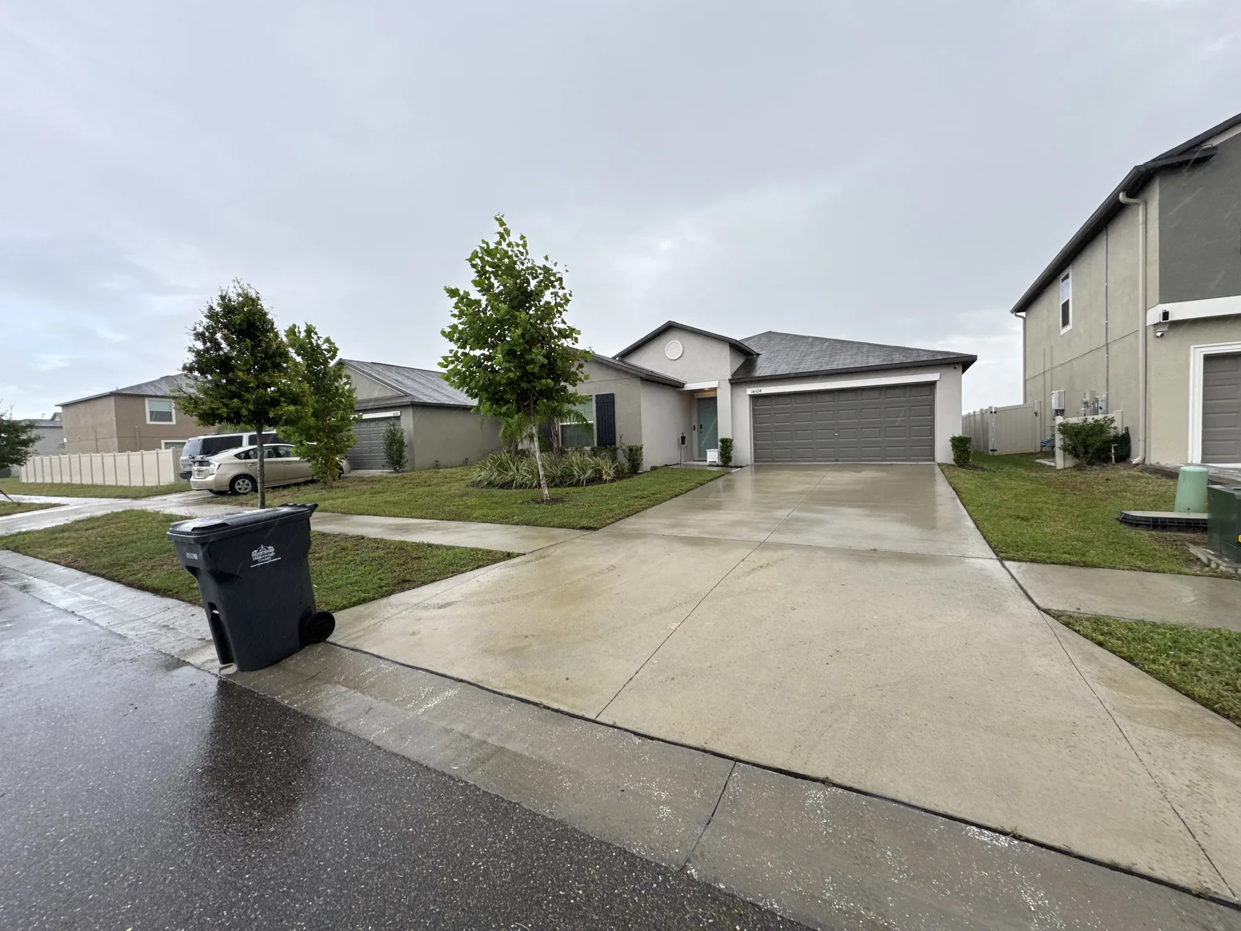 Maintained lawns across homes after rainfall