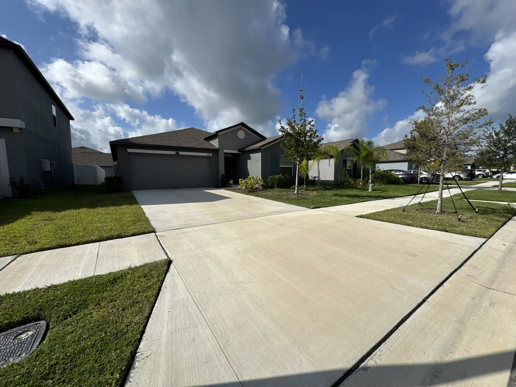 Wide residential lawn with a young landscape tree