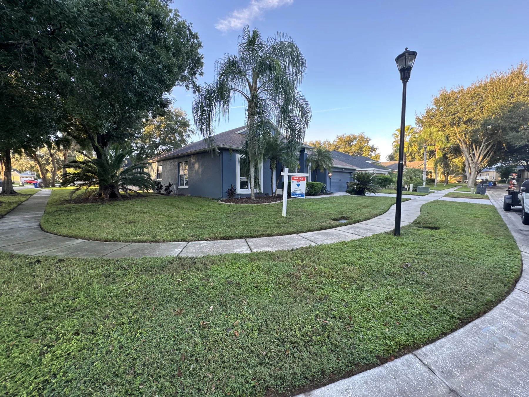 Maintained corner-property lawn with palms and shade trees