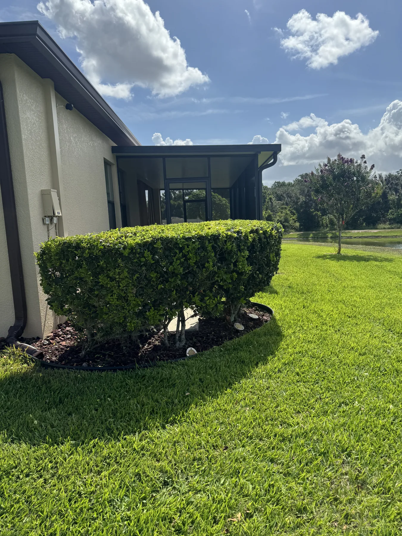 Precisely trimmed hedge beside a screened patio and lawn