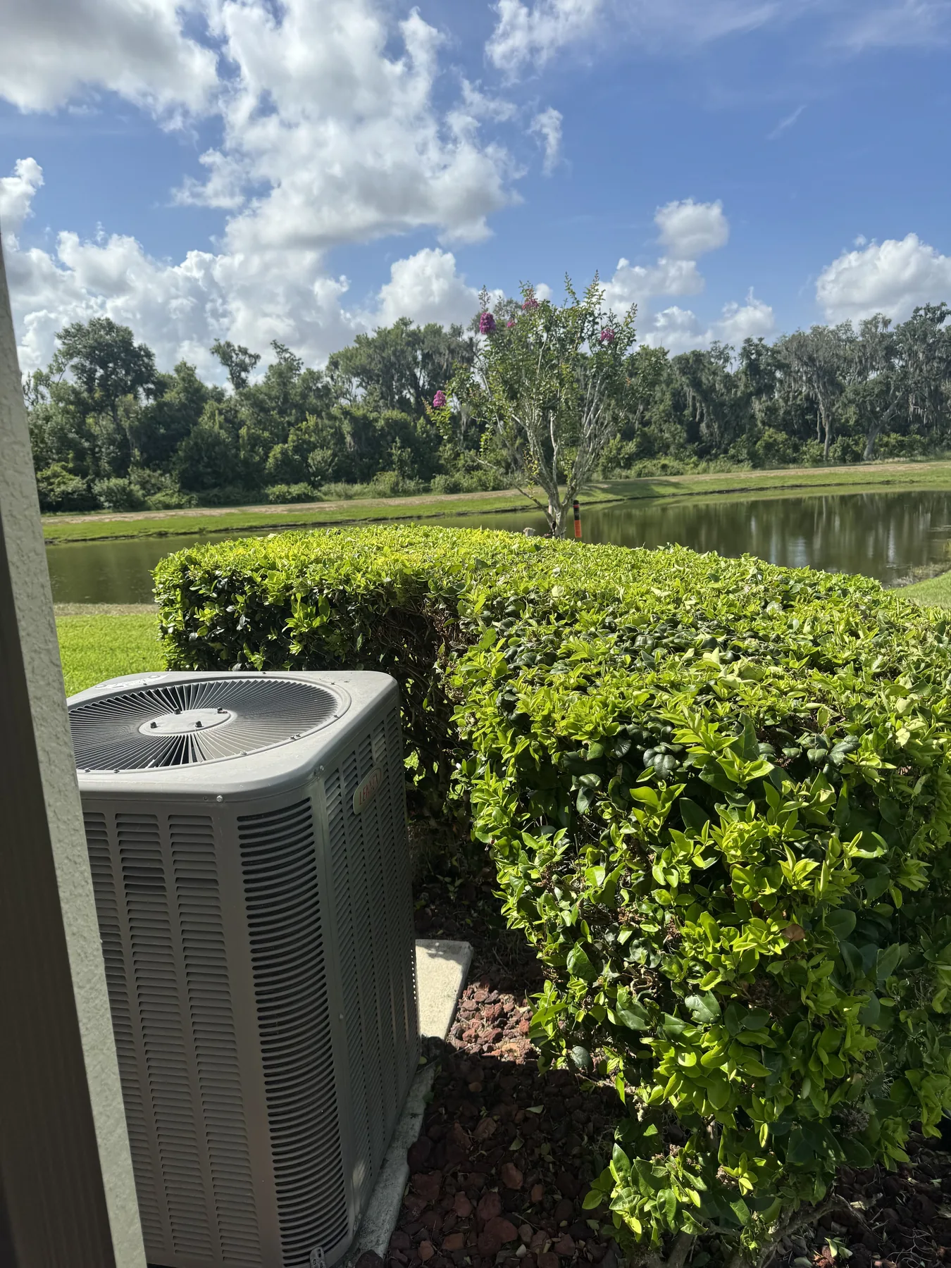 Trimmed hedge overlooking a pond-side lawn