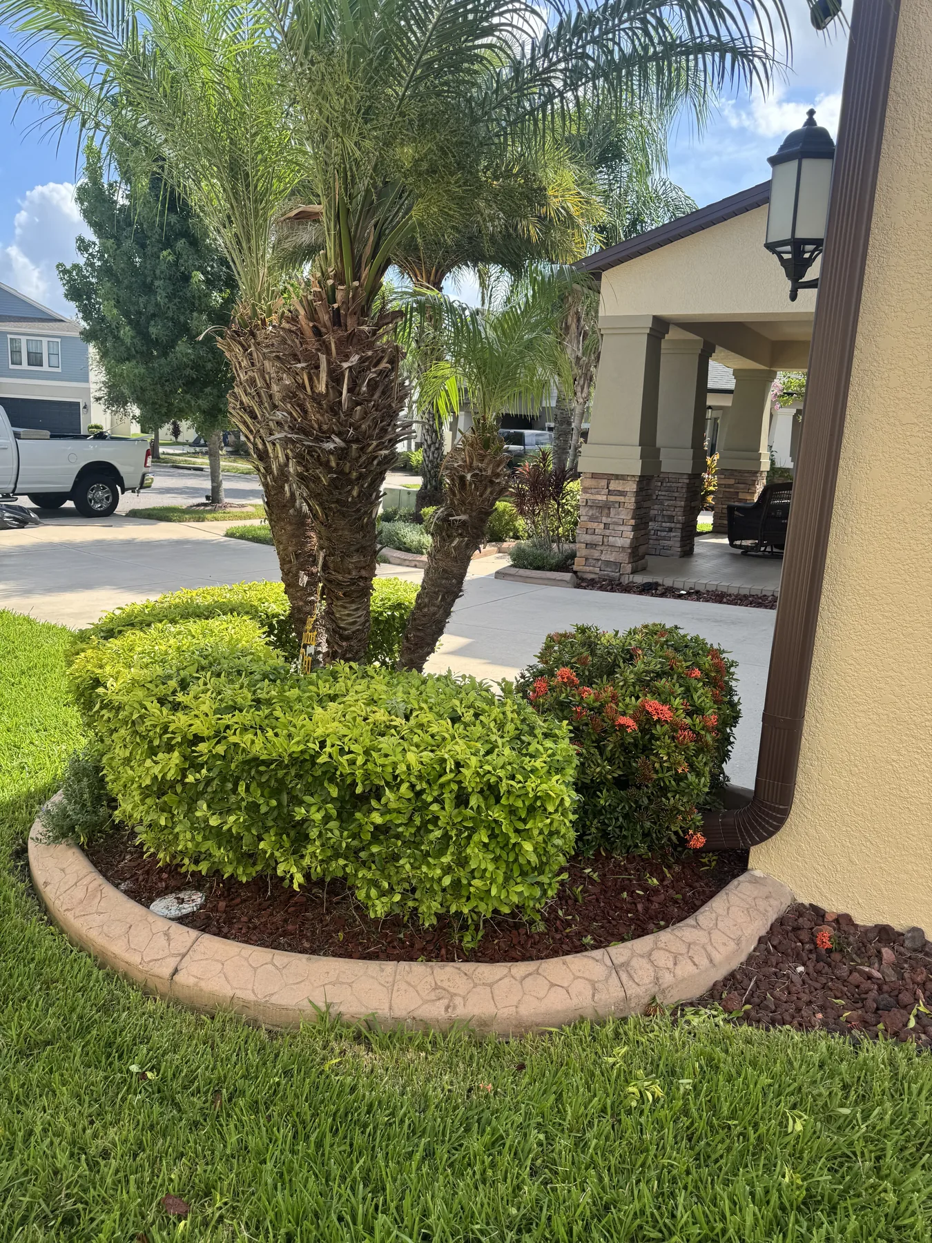 Circular palm bed with layered shrubs and red flowers