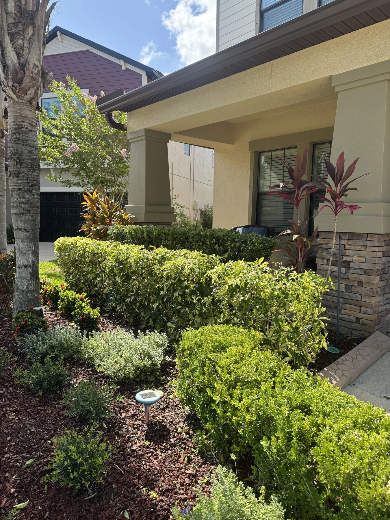 Layered foundation bed with hedges and tropical plants