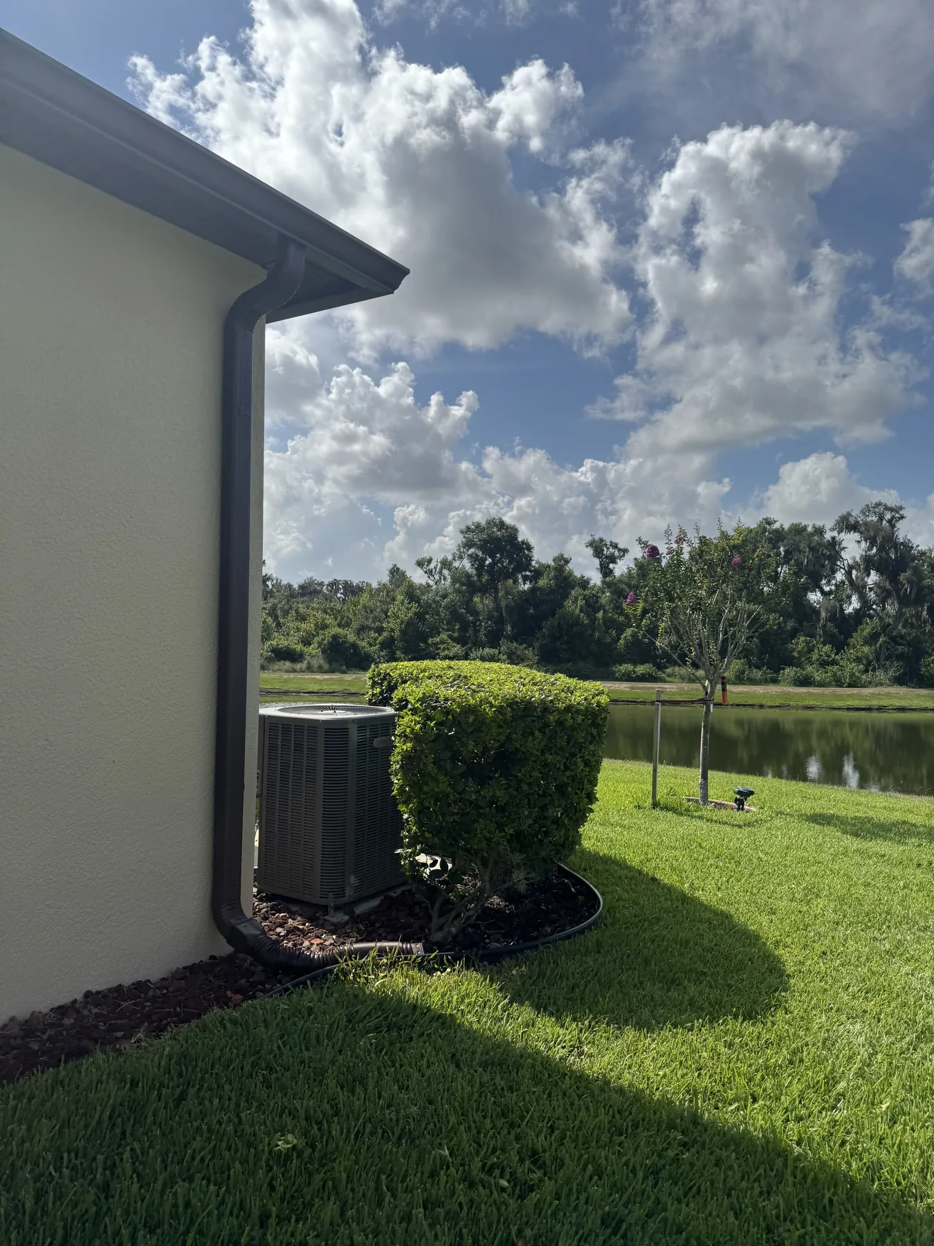 Trimmed hedge and lawn beside a pond-facing wall