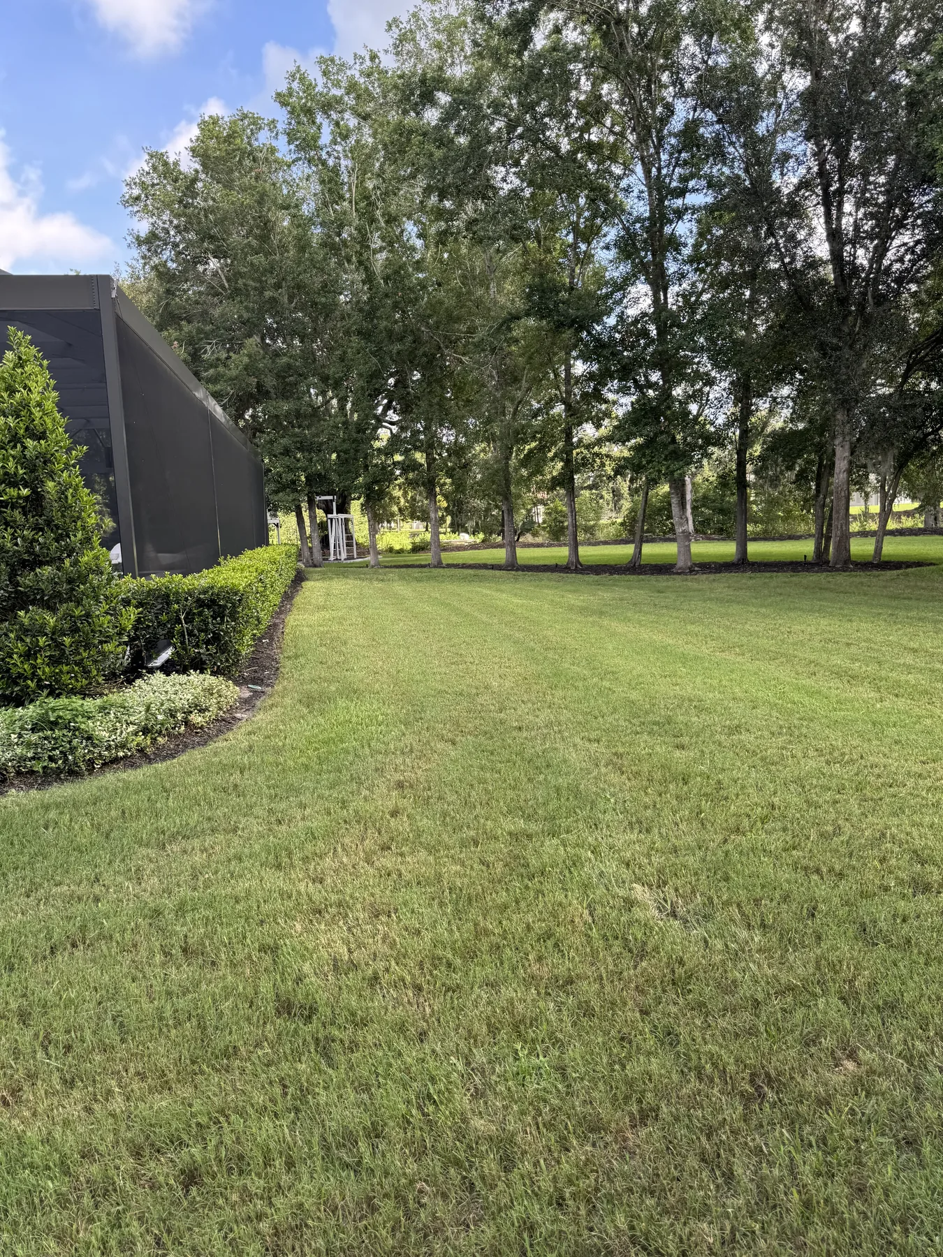 Broad side lawn shaded by rows of mature trees