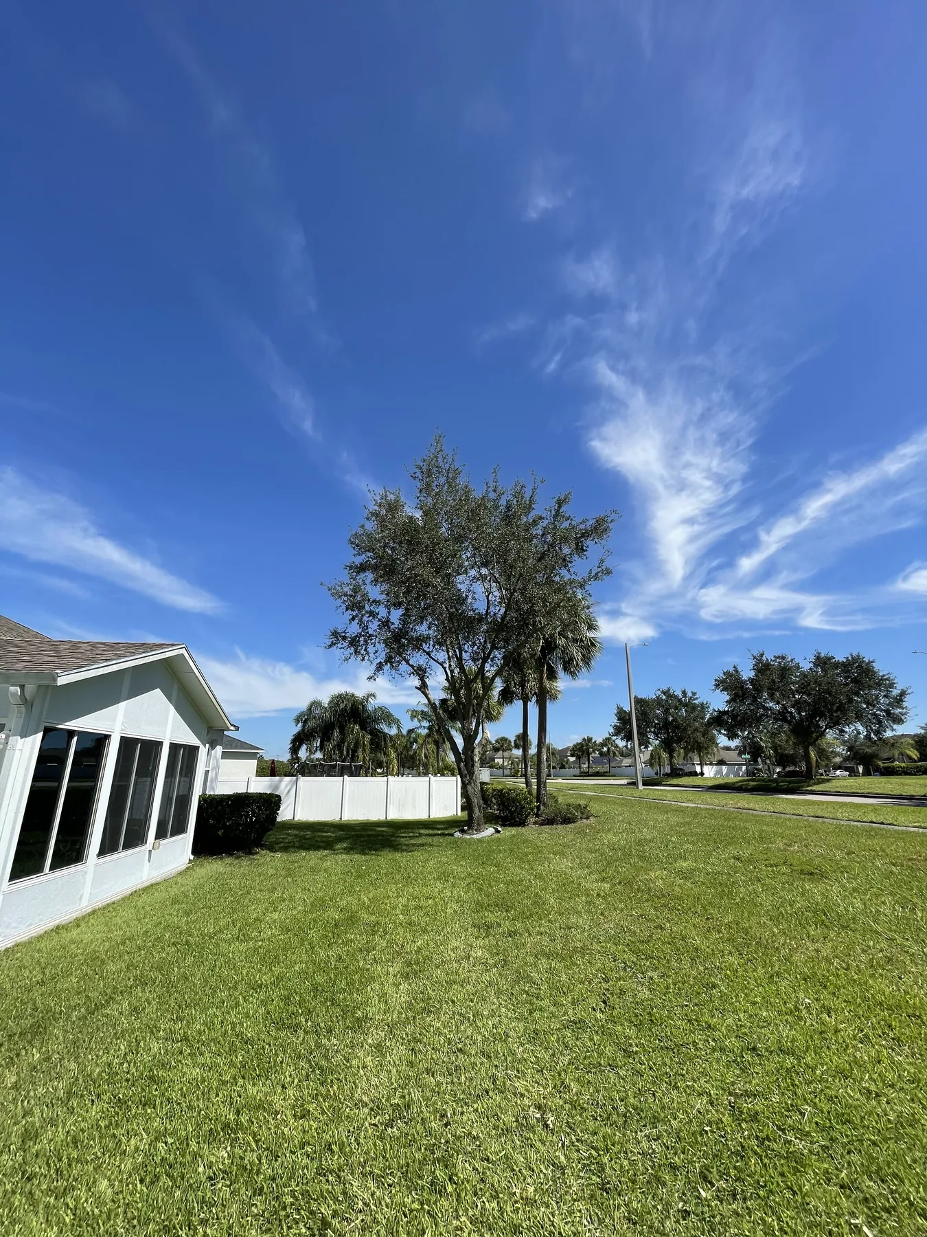 Open residential side lawn with mature landscape trees